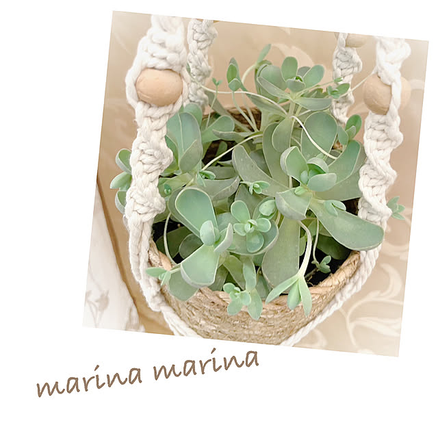 marina.marina.77さんの実例写真