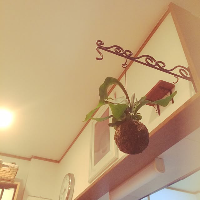 cohさんの実例写真