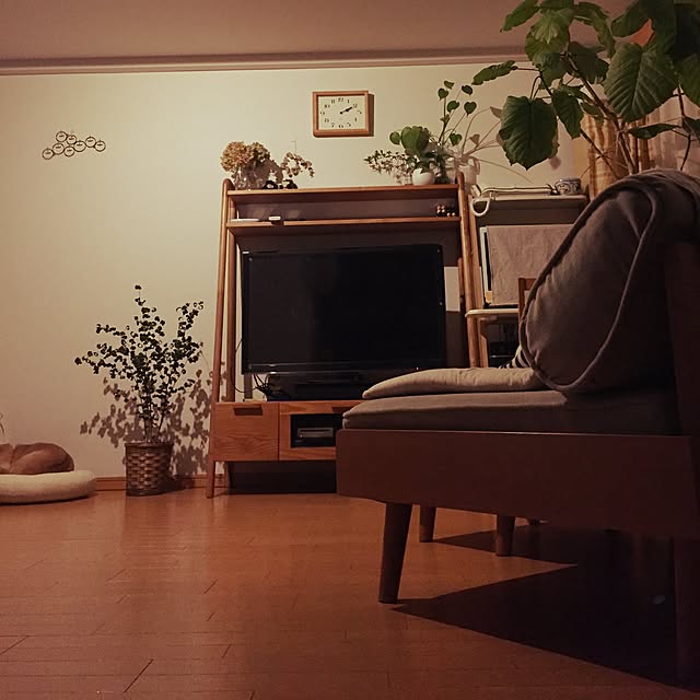 shizu2380さんの実例写真