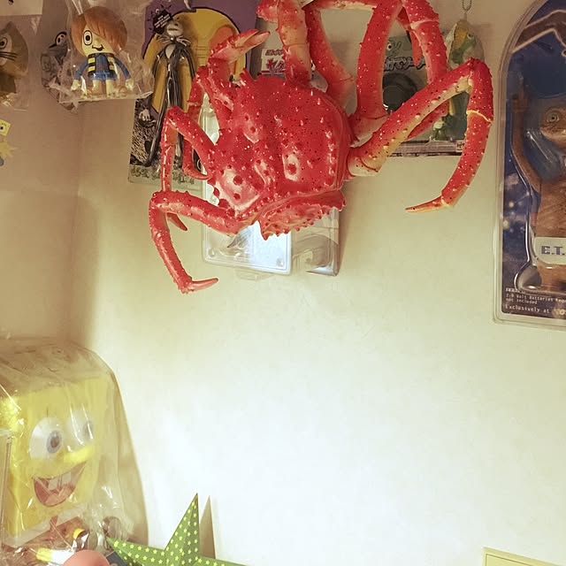 tako1974さんの実例写真