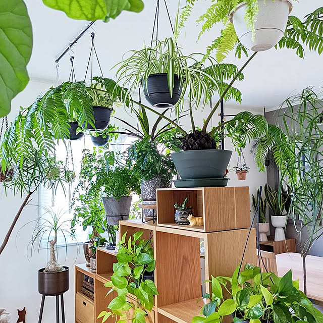 ayamameさんの実例写真