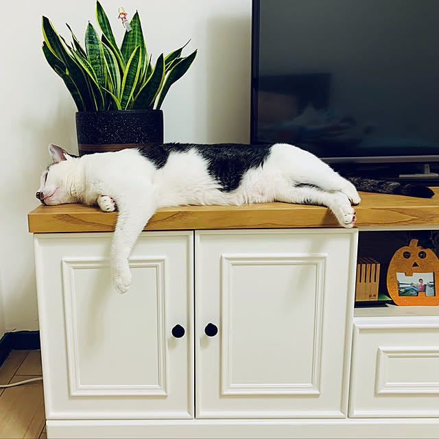 pcu110さんの実例写真