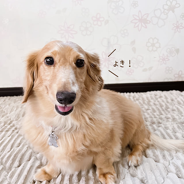 -Riley-mama.-さんの部屋