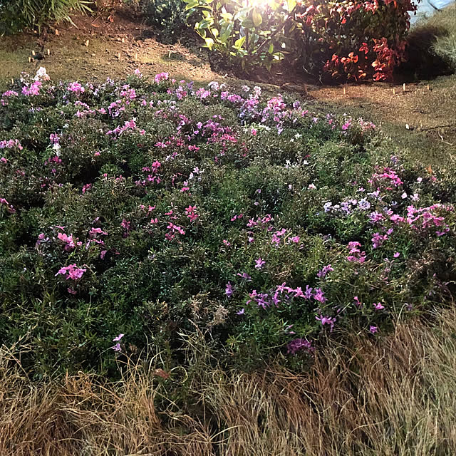 机のインテリア実例 - 2019-03-23 07:23:38