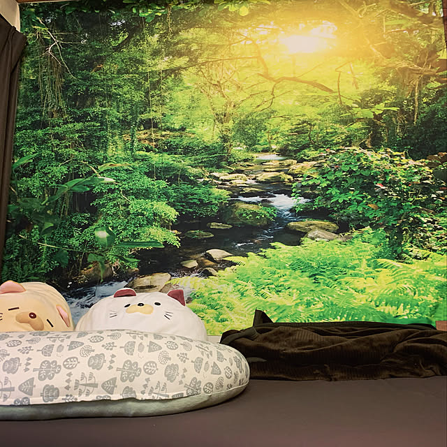DiyCamperさんの実例写真