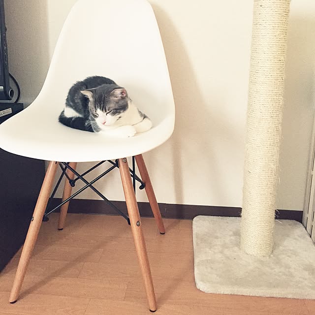 tansukeさんの実例写真