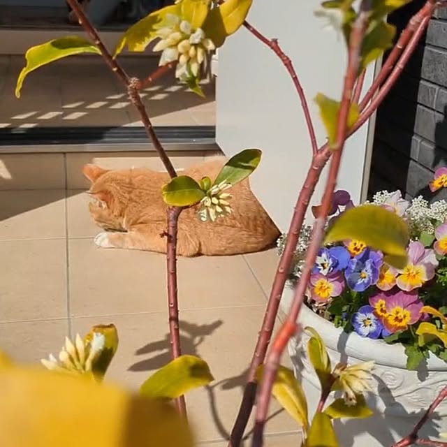 minnieさんの部屋