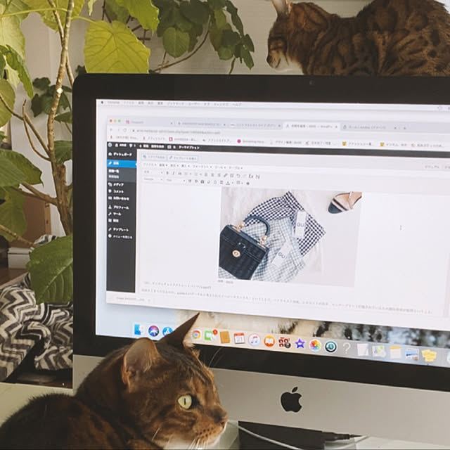 rinさんの実例写真