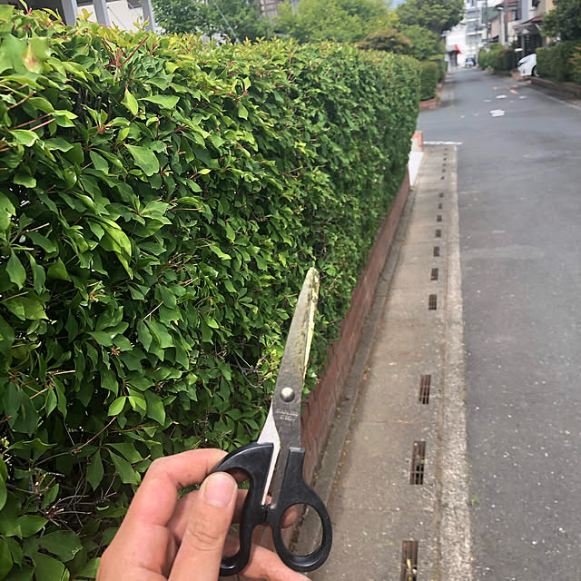 Mikaさんの実例写真
