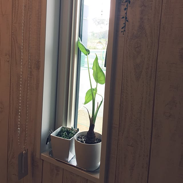 yueさんの実例写真