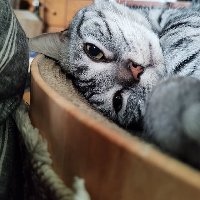 hiro3さんの部屋
