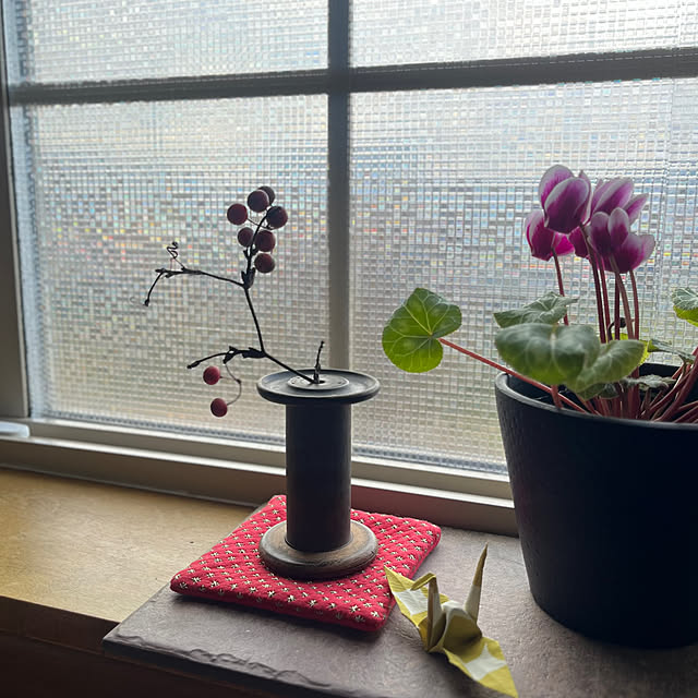 kinu-itoさんの部屋