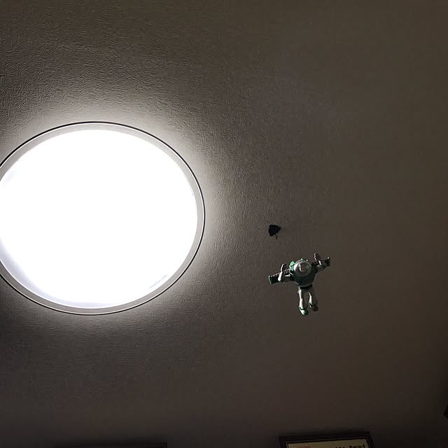 Chipさんの実例写真