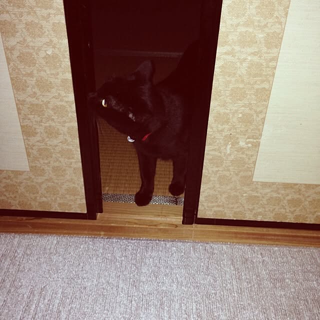 Gooさんの実例写真