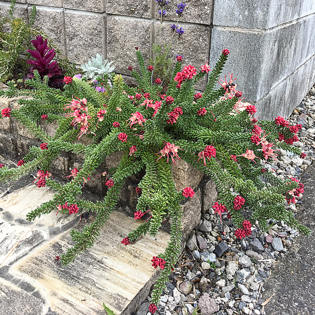 sanw2225719さんの実例写真