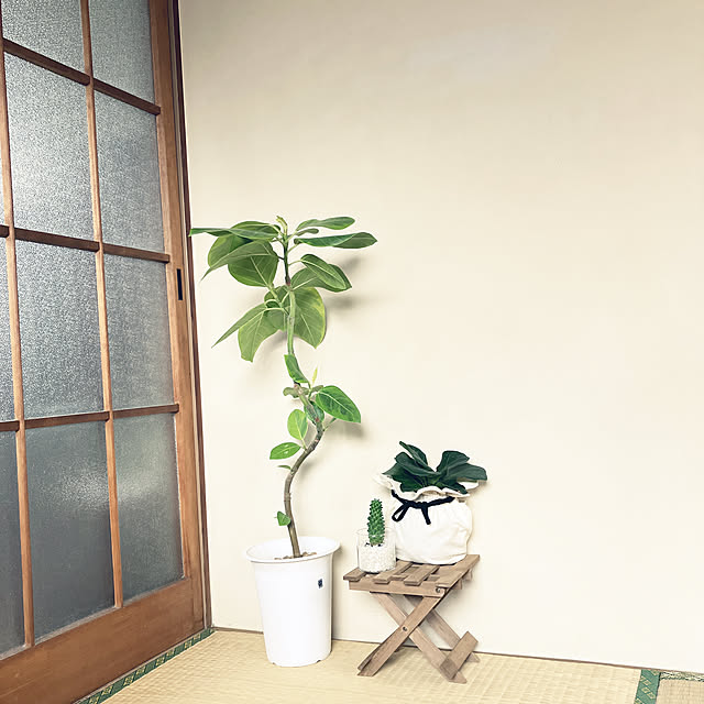 mizunokiさんの実例写真