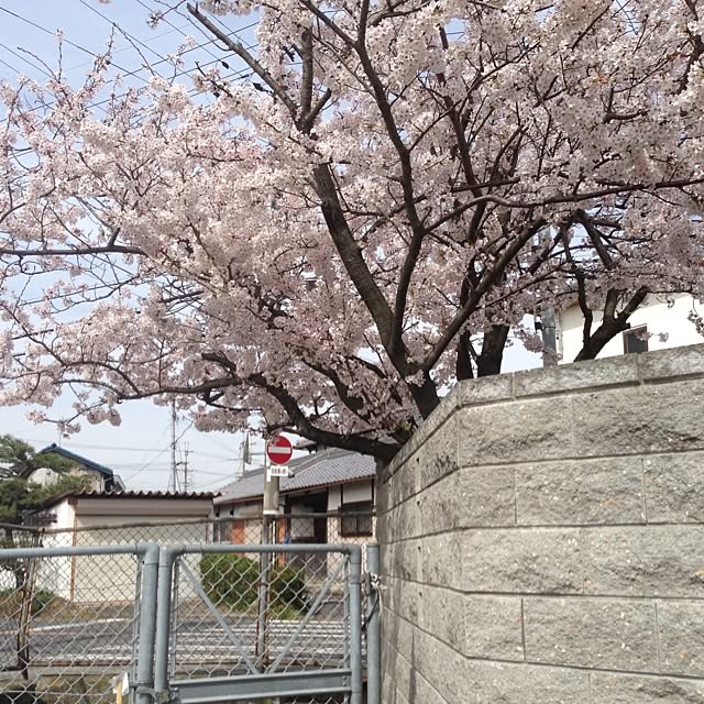 m3h5maruwoさんの実例写真