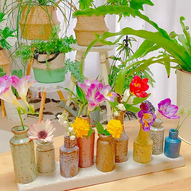 Hanakaさんの実例写真