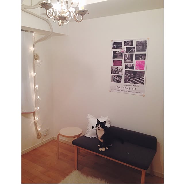 chiharu05nkさんの実例写真