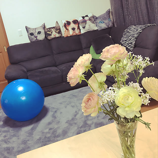 yumiさんの実例写真