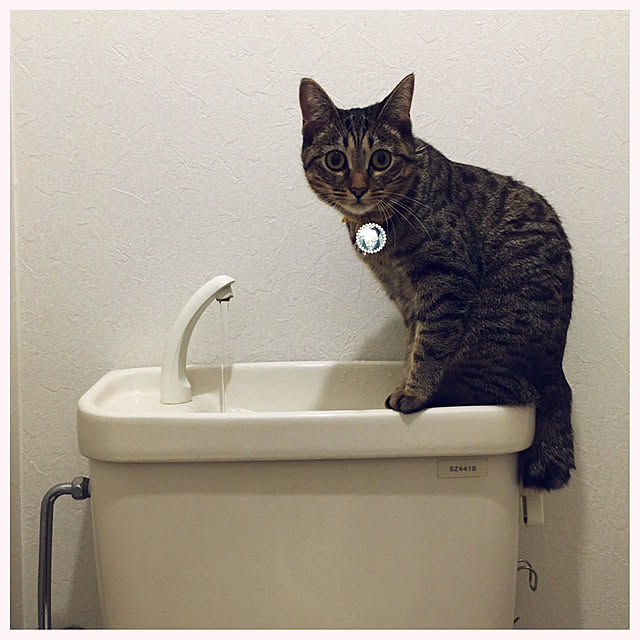 Mさんの実例写真