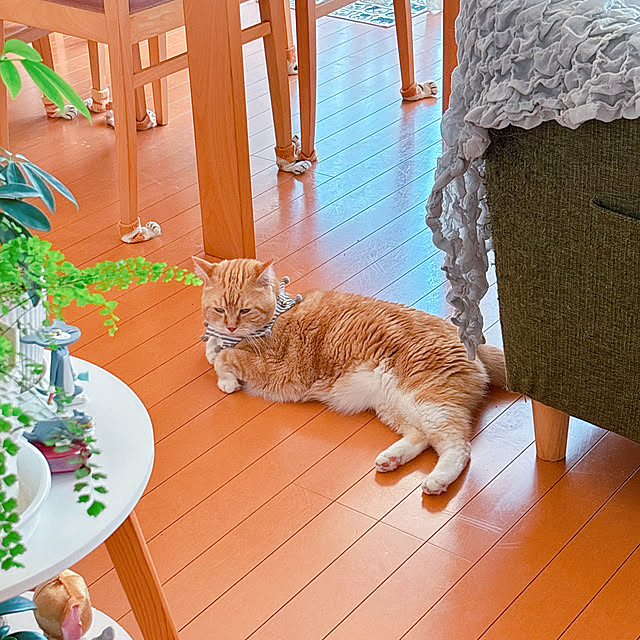 moolさんの部屋