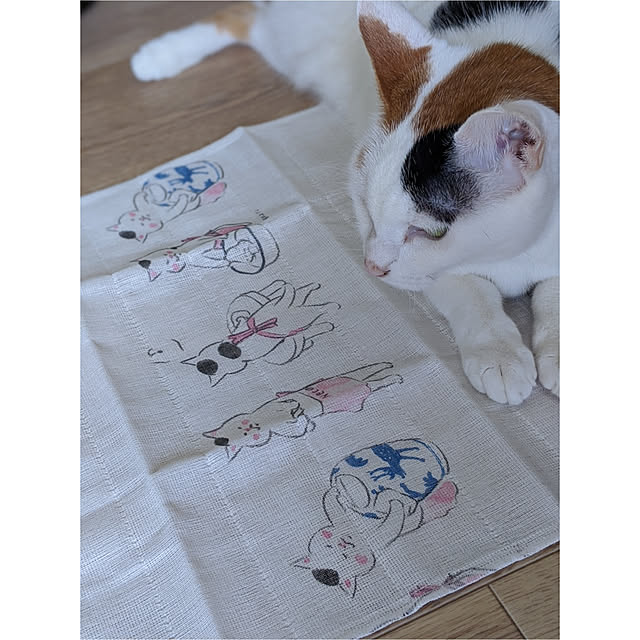 ichi.さんの実例写真