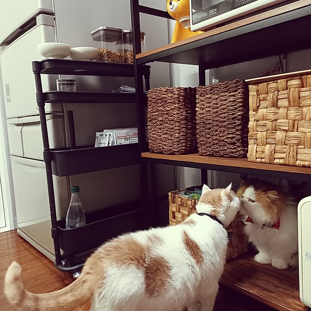 amutantanさんの部屋