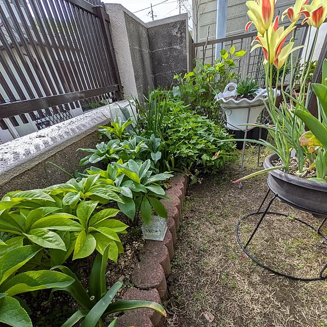 Renさんの実例写真