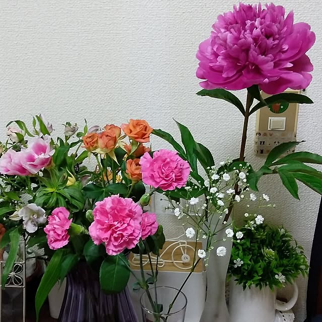 makayokoさんの実例写真
