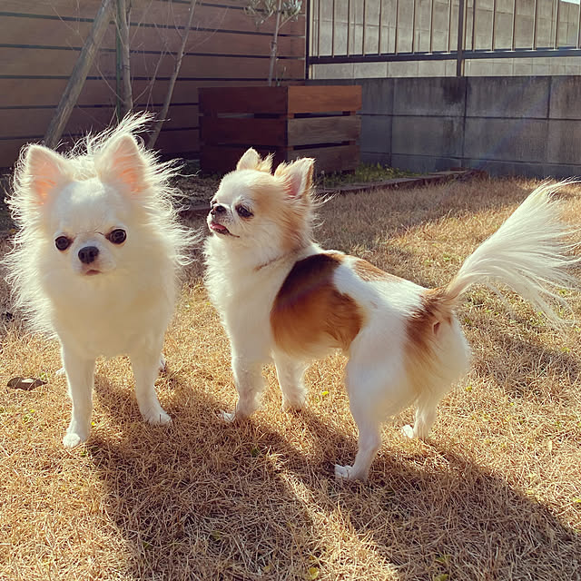 kinazukiさんの実例写真
