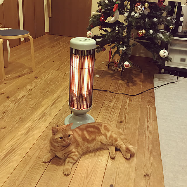 tonkkkktonさんの実例写真