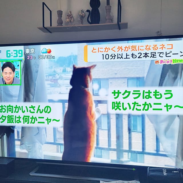 akimameさんの実例写真