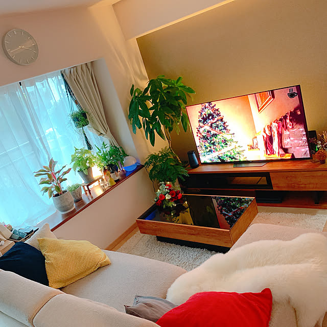 観葉植物 大型テレビのおすすめ商品とおしゃれな実例 観葉植物 大型テレビのおすすめ商品とおしゃれな実例
