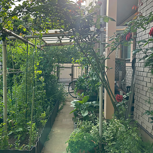 botanさんの実例写真