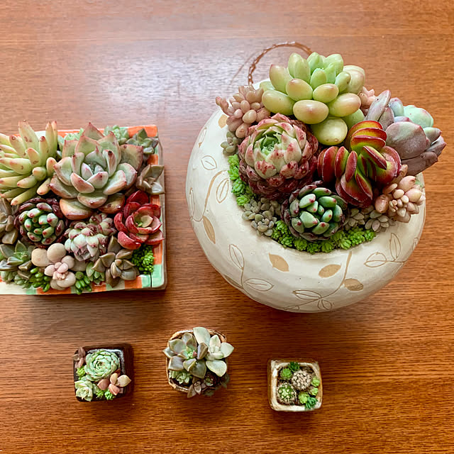 luluさんの実例写真