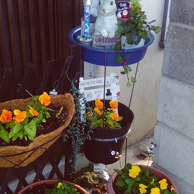 kuuchanさんの実例写真