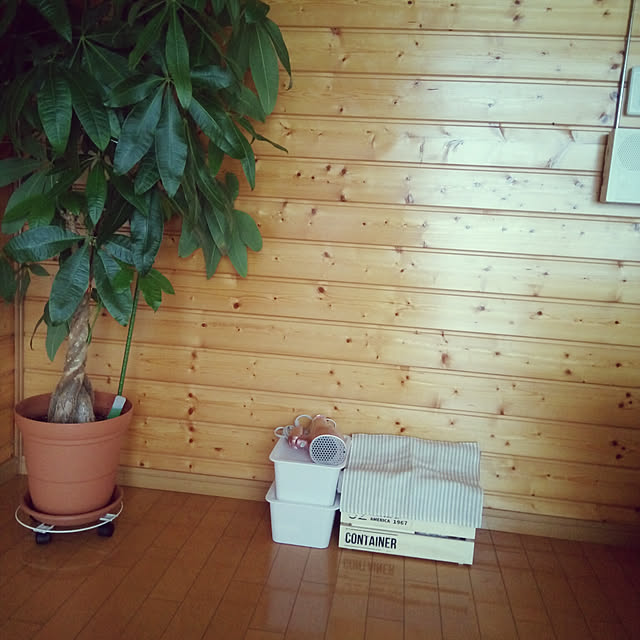 Emiさんの実例写真
