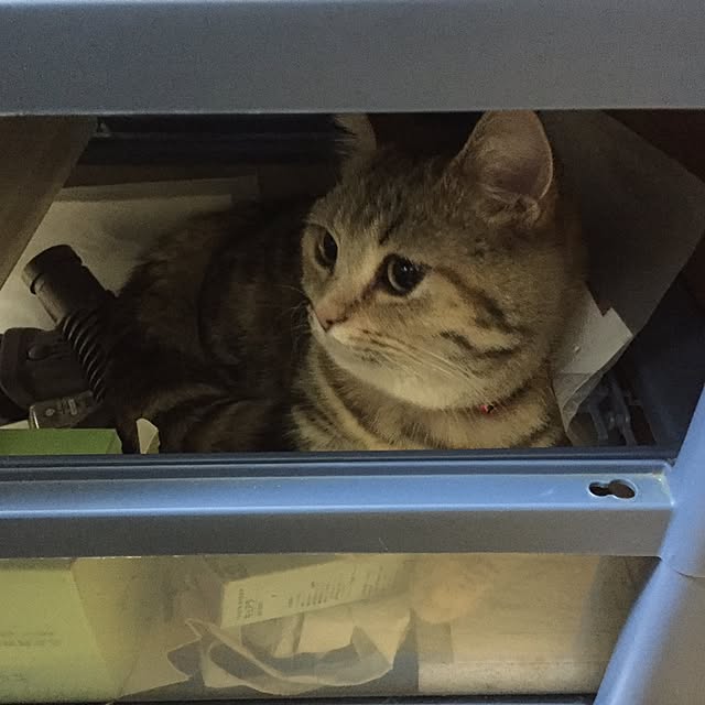 keibooさんの実例写真