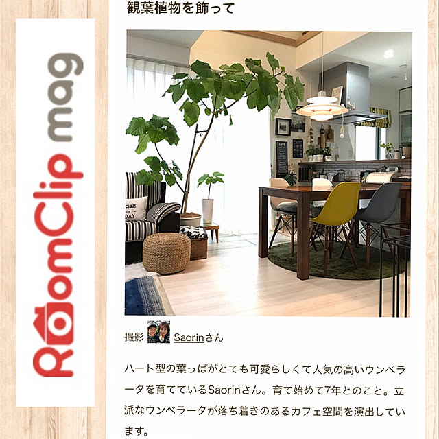 Saorinさんの実例写真