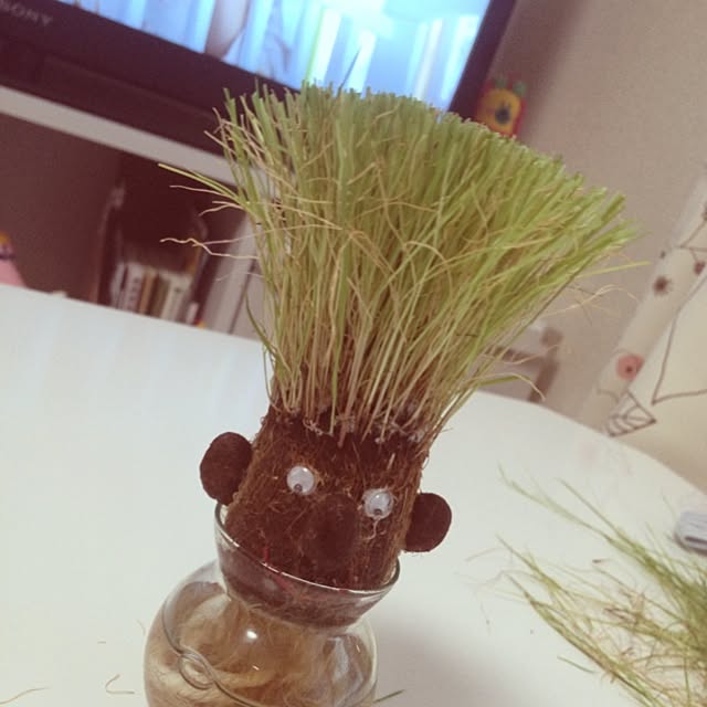 yuuさんの実例写真