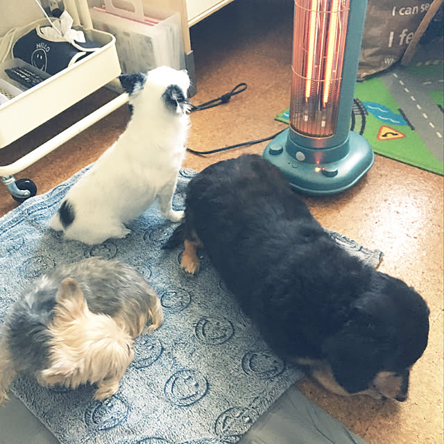 ohanaさんの実例写真