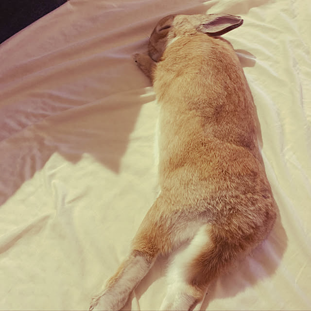 takeさんの実例写真
