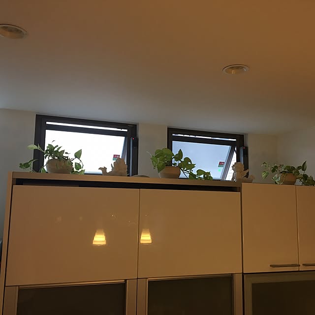 monさんの実例写真