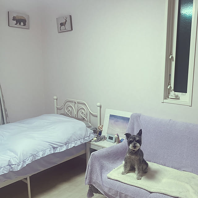 Miyukiさんの実例写真