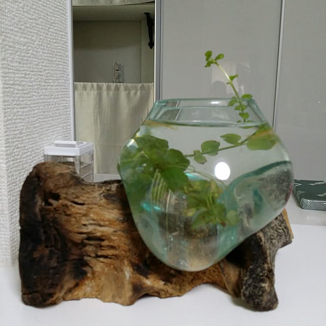 GaudisHouseさんの実例写真