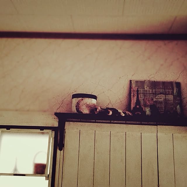 rookuさんの実例写真
