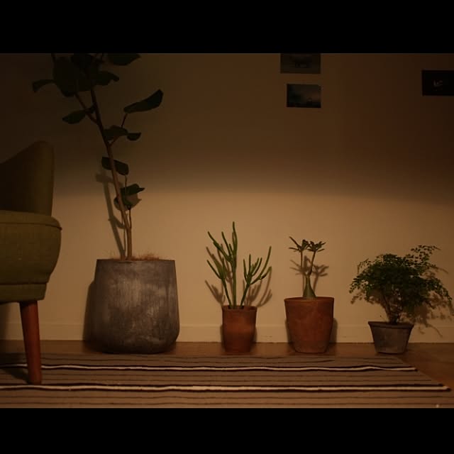 towaさんの実例写真