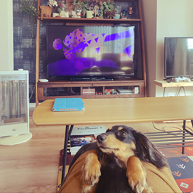 uninekoさんの実例写真
