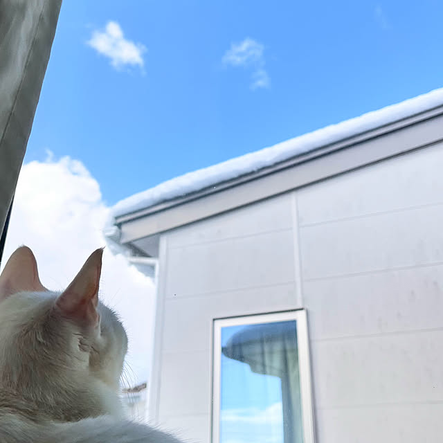 Miyu_さんの部屋